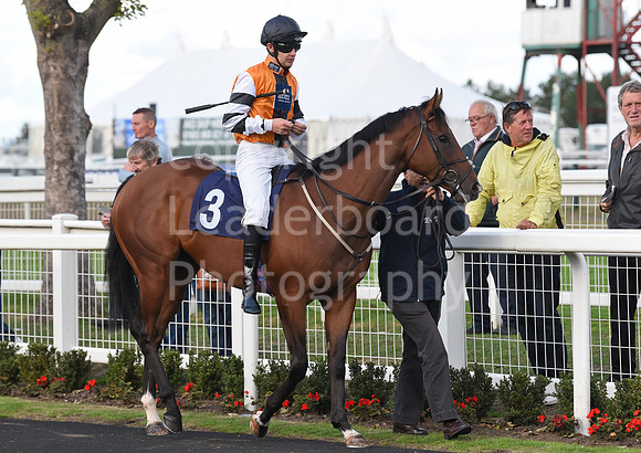 Gt_Yarm_15_Sept_2022-210