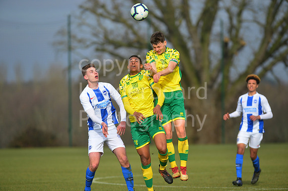 NB_016_NCFC_U18_Brighton