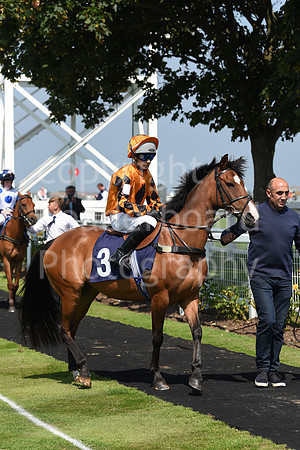 Pony_Racing_5th_Aug_2021-11
