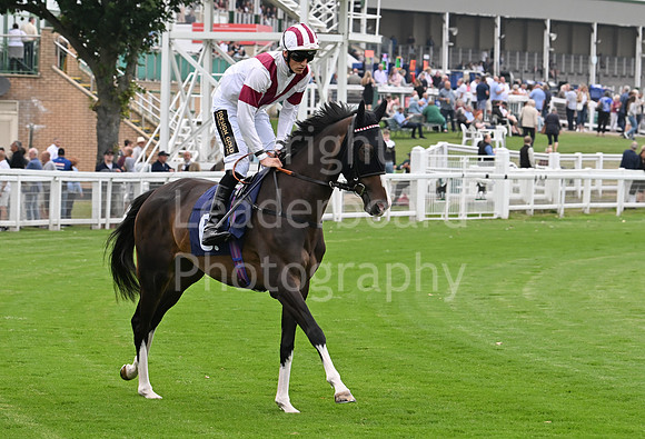 Gt_Yarm_19_Aug_Evening_Race-97