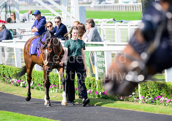 NZ9_3099
