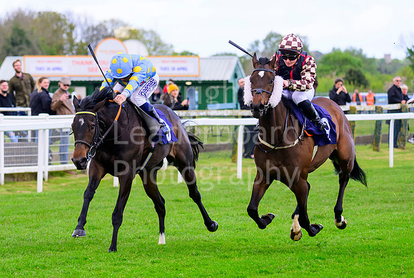 Z91_3384