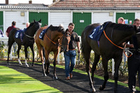 03_GY_Races_15Aug_Beatles