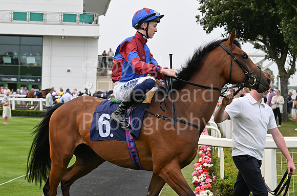 Gt_Yarm_19_Aug_Evening_Race-54