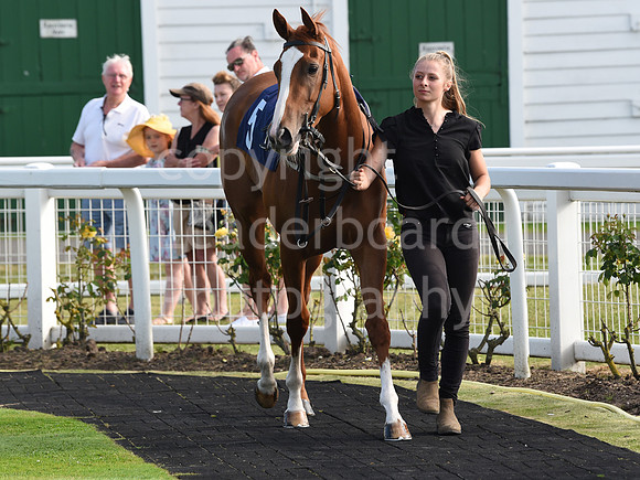 Gt_Yarm_Races_22_July2021-179