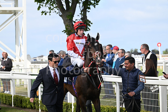 Gt_Yarm_May14_2025-193