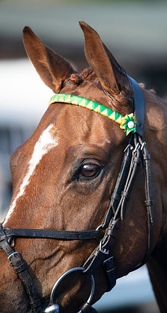 LB_Fakenham_31_18_0616
