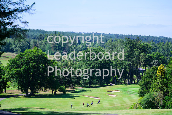NZ9_5234