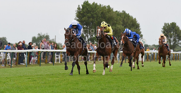 Yarm_Races_17July-27