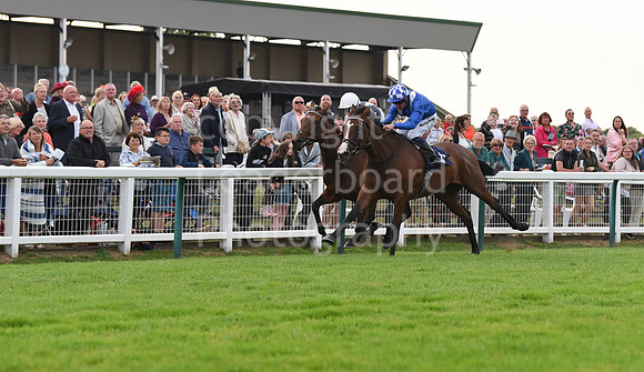 Yarm_Races_17July-60