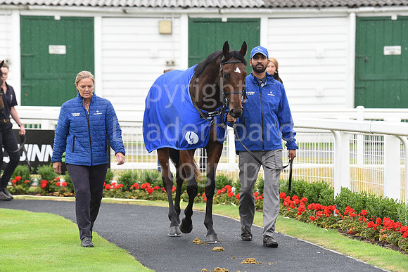 Gt_Yarm_30_June_2022-62