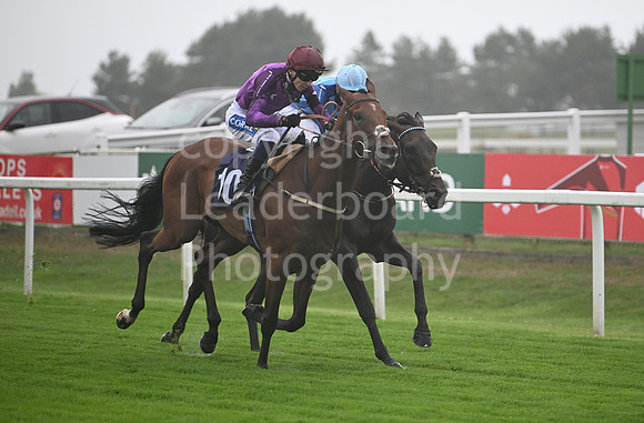 Gt_Yarm_Ladies Night_2025-24