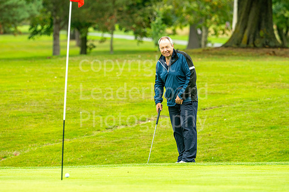 LBP_PIng_Mixed_2024-28