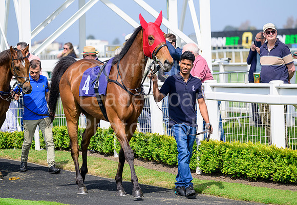 NZ9_5088
