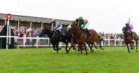 Yarm_Races_17July-10