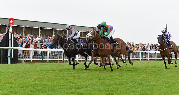 Yarm_Races_17July-10