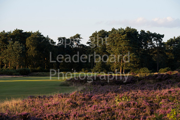 LB_024_Woodhall_Spa_Course