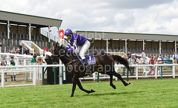 39_GY_8_Aug_Pony_Racing