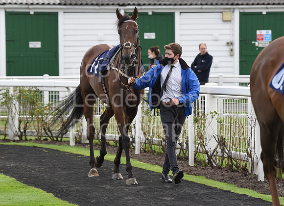 Gt_Yarmouth_Races_230Aug-56