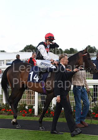 Gt_Yarm_15_Sept_2022-211