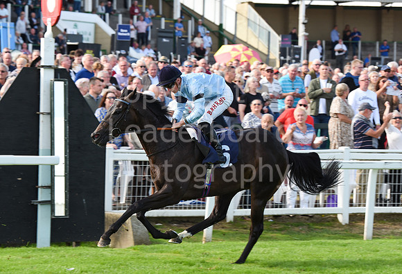 Gt_Yarm_14_Sept_2022-58