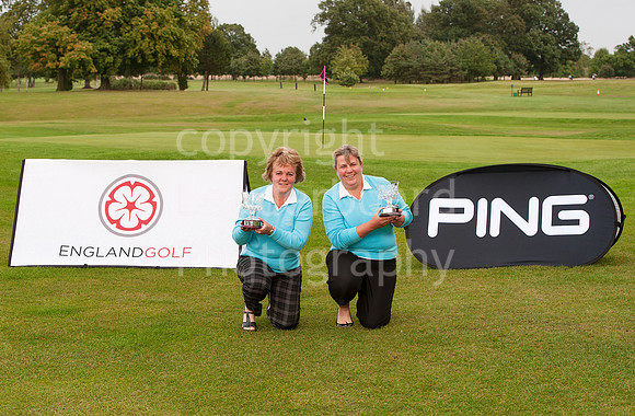 NB_PING_PLATE_WINNERS.