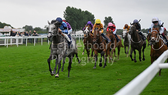 Gt_Yarm_Ladies Night_2025-134