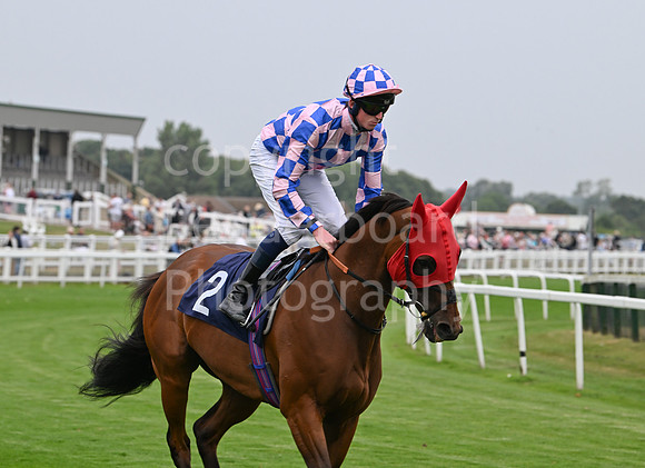 Gt_Yarm_19_Aug_Evening_Race-144