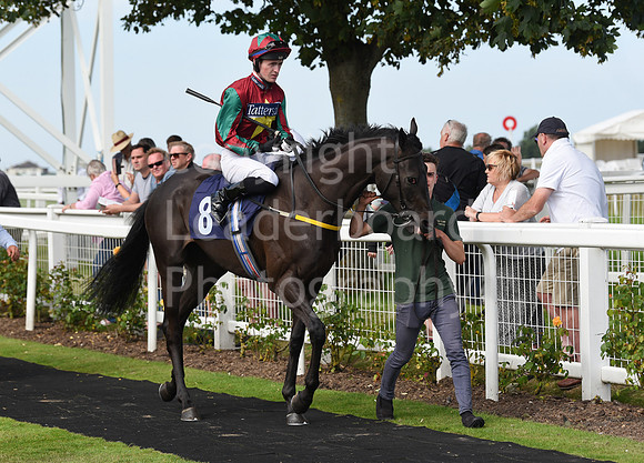 Gt_Yarm_Racing_5th_Aug_2021-111