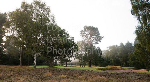NB_REID_Trophy_2014