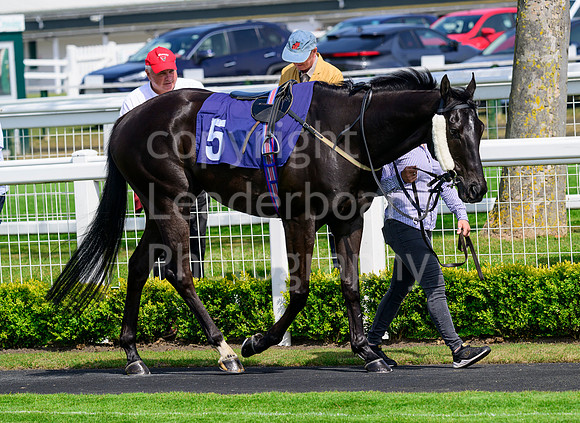 NZ9_5082