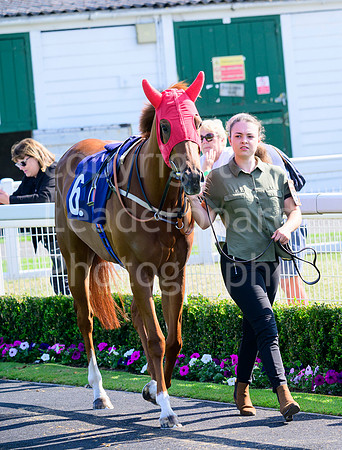 NZ9_3348