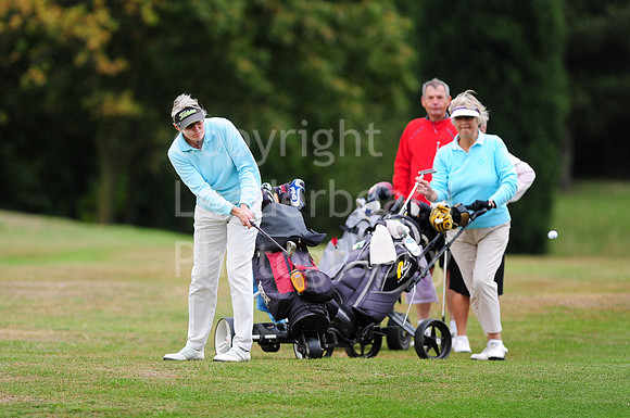 LB_79_Ping_Plate_Final_2011.jpg