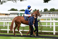 Gt_Yarmouth_Races_230Aug-13