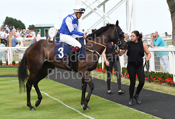Gt_Yarm_4 Aug_2022-7