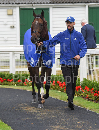 Gt_Yarm_30_June_2022-99