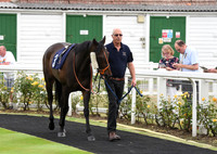 Yarm_Races_17July-1
