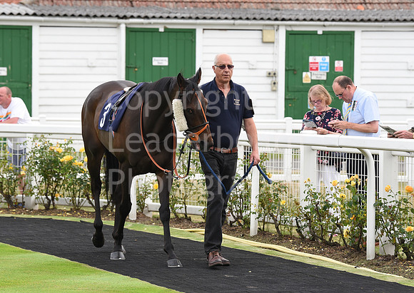 Yarm_Races_17July-1