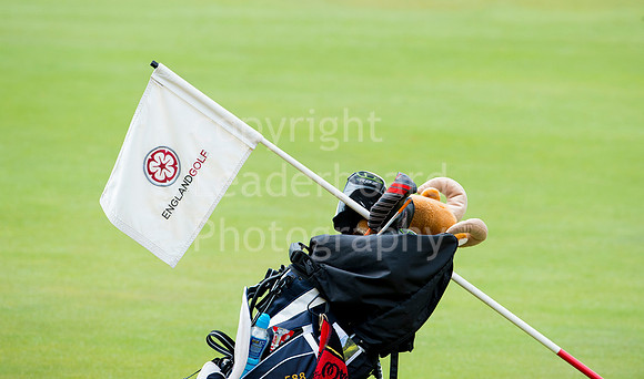 LB_ Womens_Stroke_Play_2014__1871
