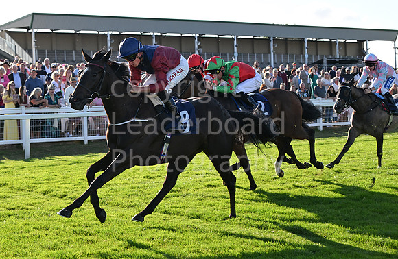 Gt_Yarm_Ladies Night_2025-74