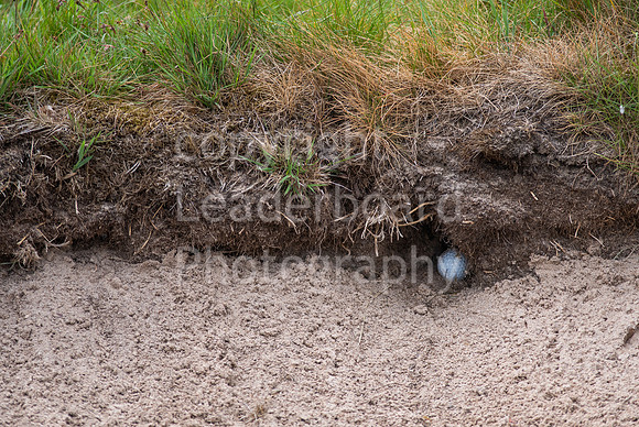LBP_4583