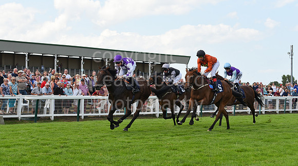 33_GY_Racing_8_Aug
