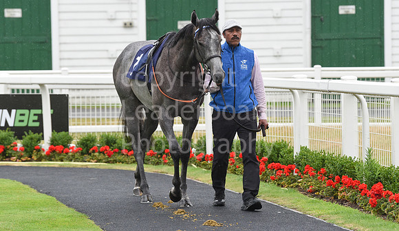 Gt_Yarm_30_June_2022-64