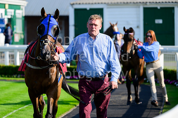 NZ9_3768