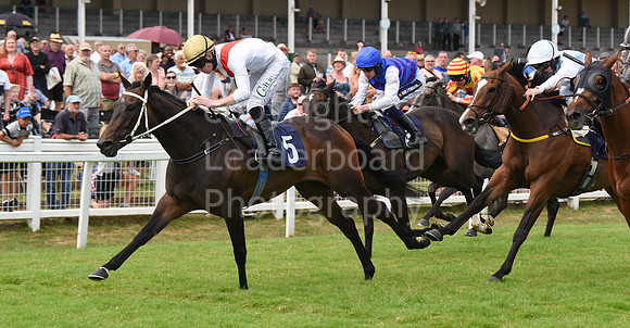 Gt_Yarm_26_July_2022-21