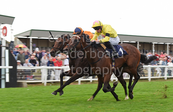 Gt_Yarm_14_Sept_2022-154