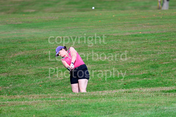 NB_045_Ping_4BBB_Final