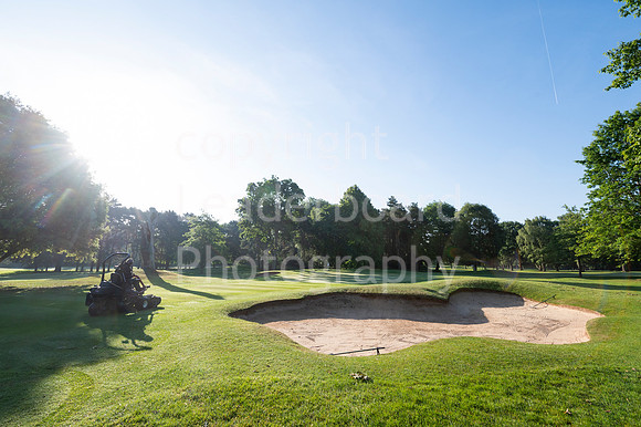 DSC_1967