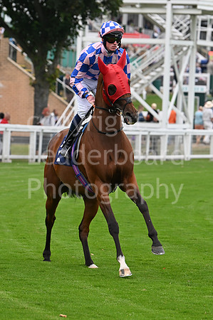 Gt_Yarm_19_Aug_Evening_Race-143