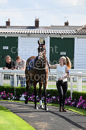 Gt_Yarm_28_July_2025-147